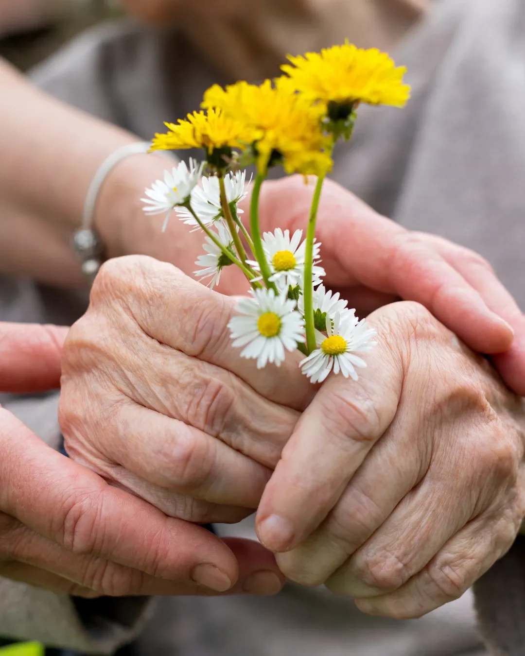 testimonianza-andreina-storie-delle-famiglie-fondazione-martinoli
